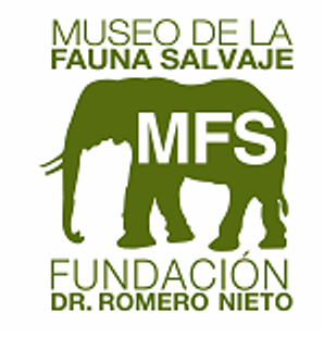 logo museo