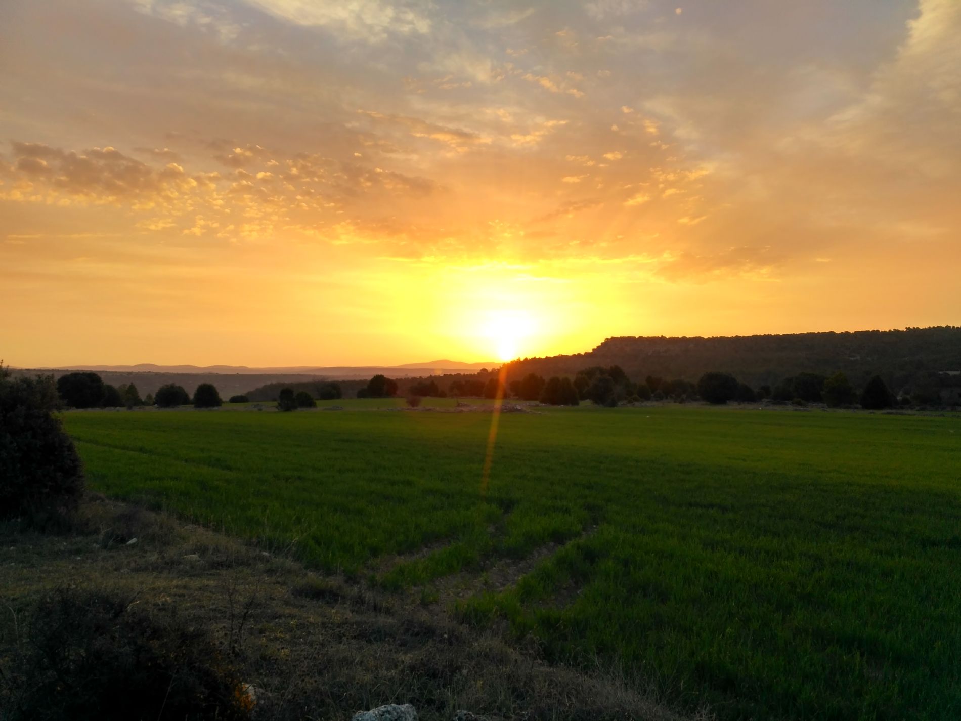 Sunshine