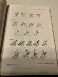 224A1E53 2B48 4FFD 92E9 7E100C4C19AD 224A1E53 2B48 4FFD 92E9 7E100C4C19AD
