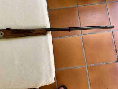 IMG 3282 IMG 3282