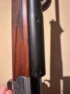 IMG 3272 IMG 3272