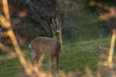 IMG 9709 IMG 9709