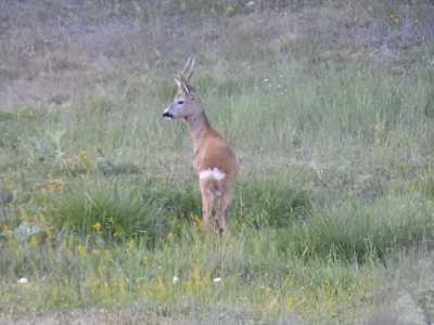 DSCN3724