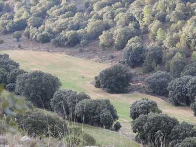 PAISAJE CORCERO