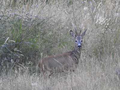 DSCN1748