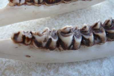 P1210126