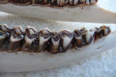 P1210127