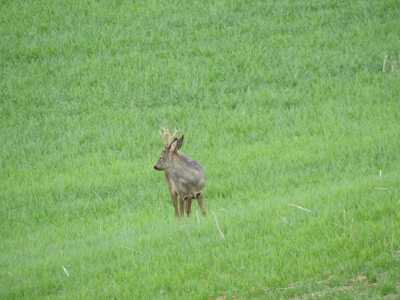 DSCN0256
