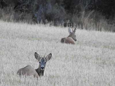 DSCN1126