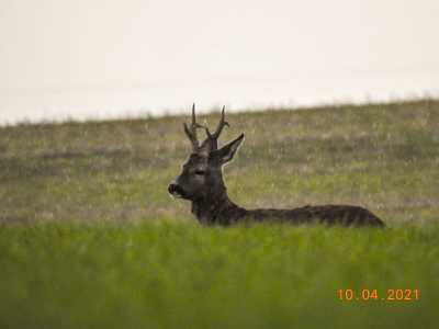 IMG 20210812 WA0008 IMG 20210812 WA0008
