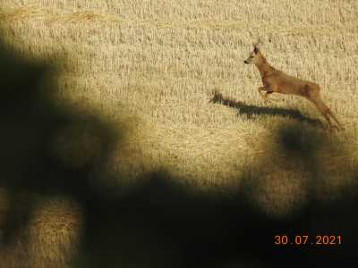 DSCN1627
