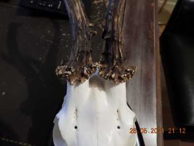 DSCN0405