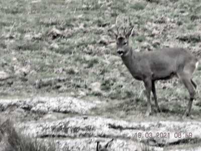 DSCN0312 (2)