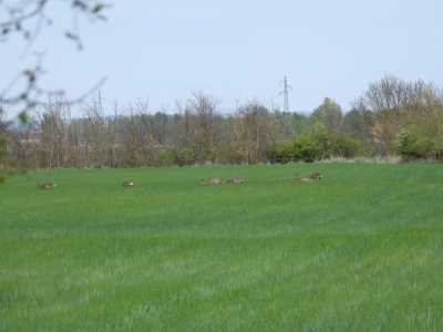 DSCN1753