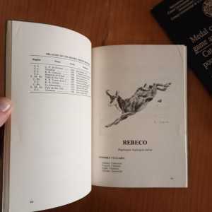 IMG20241224101033