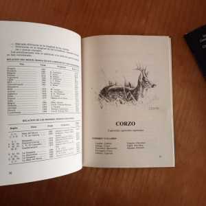 IMG20241224101043