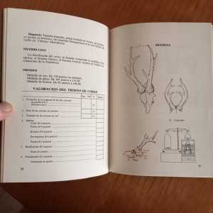 IMG20241224101120