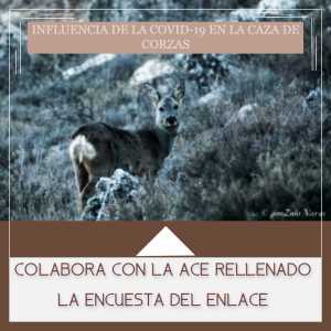 ENCUESTA CORZAS ENCUESTA CORZAS
