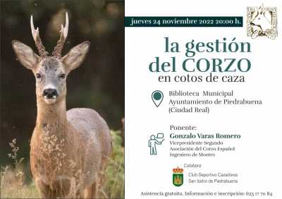 ACE Corzo Piedrabuena ACE Corzo Piedrabuena