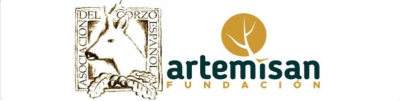 ACE ARTEMISAN
