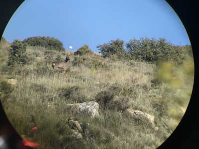 01 Pablo España San Martín IMG 3241