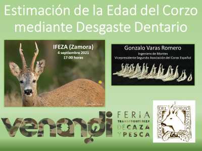 Ponencia edad Zalo Ponencia edad Zalo