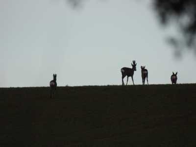 DSCN1001