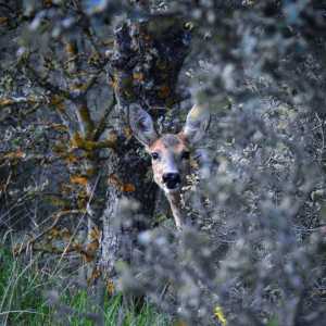 IMG 20211104 162914 IMG 20211104 162914