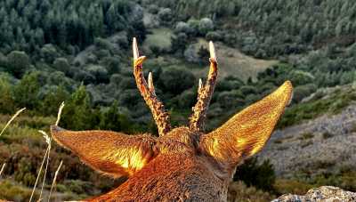 IMG 6289 IMG 6289