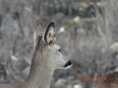 DSCN1494