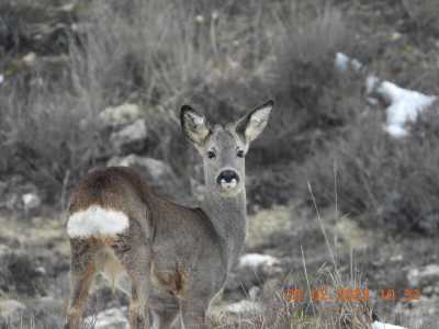 DSCN1495