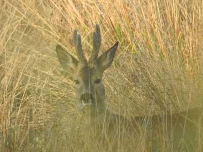 IMG 0700 IMG 0700