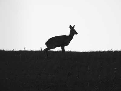 IMG 1364 IMG 1364