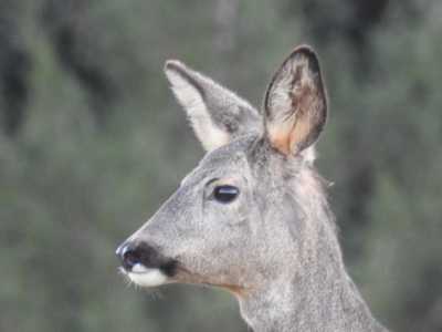 IMG 1365 IMG 1365