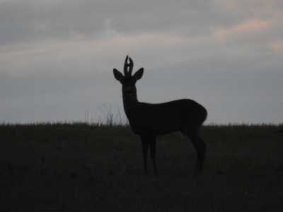 IMG 1376 IMG 1376