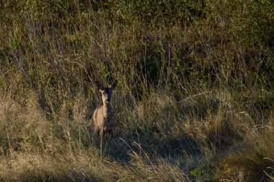 14092024 DSC 0016 14092024 DSC 0016